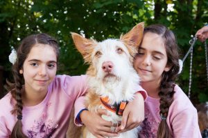 Tierhilfe Menorca e.V. Hundefest 2017
